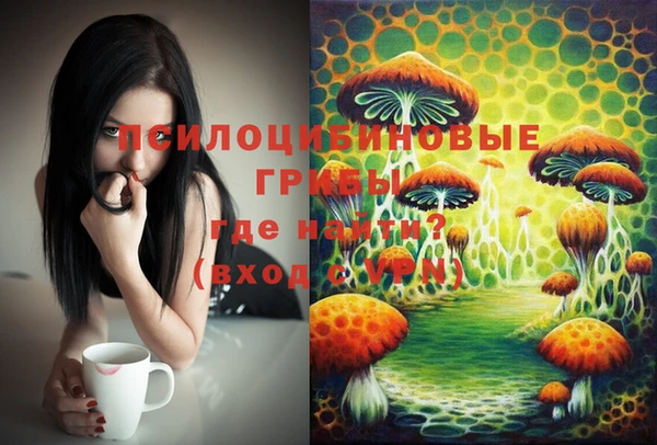 спиды Баксан