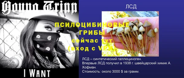 спиды Баксан