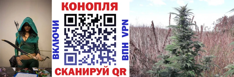 Бошки марихуана THC 21%  купить наркотики цена  Ессентуки 